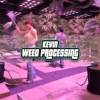 FREE Weed Processing for QBCore