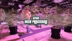 FREE Weed Processing for QBCore