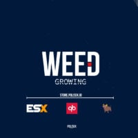 Weed Growing - Create your weed empire