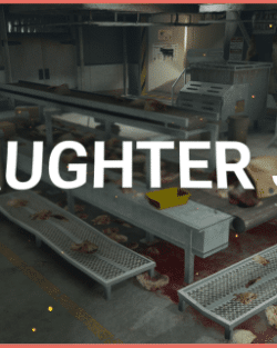 Slaughter House Job Script