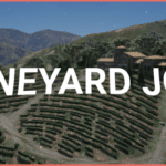 Full Vineyard Job Script