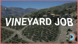 Full Vineyard Job Script